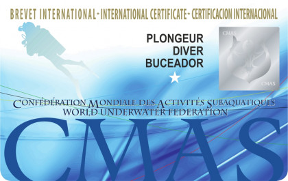 One Star Diver card image