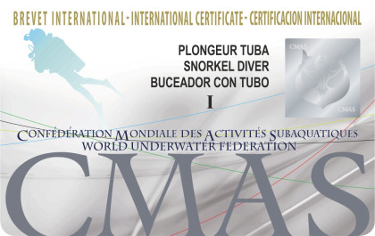 One Star Snorkel Diver card image