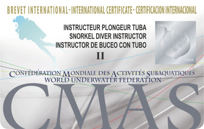 Two Star Snorkel Instructor card image